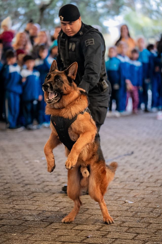 Foto 5
