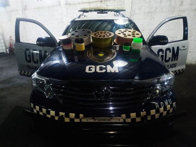 GCM prossegue com a operação para apreender cerol e linha chilena em Guarulhos