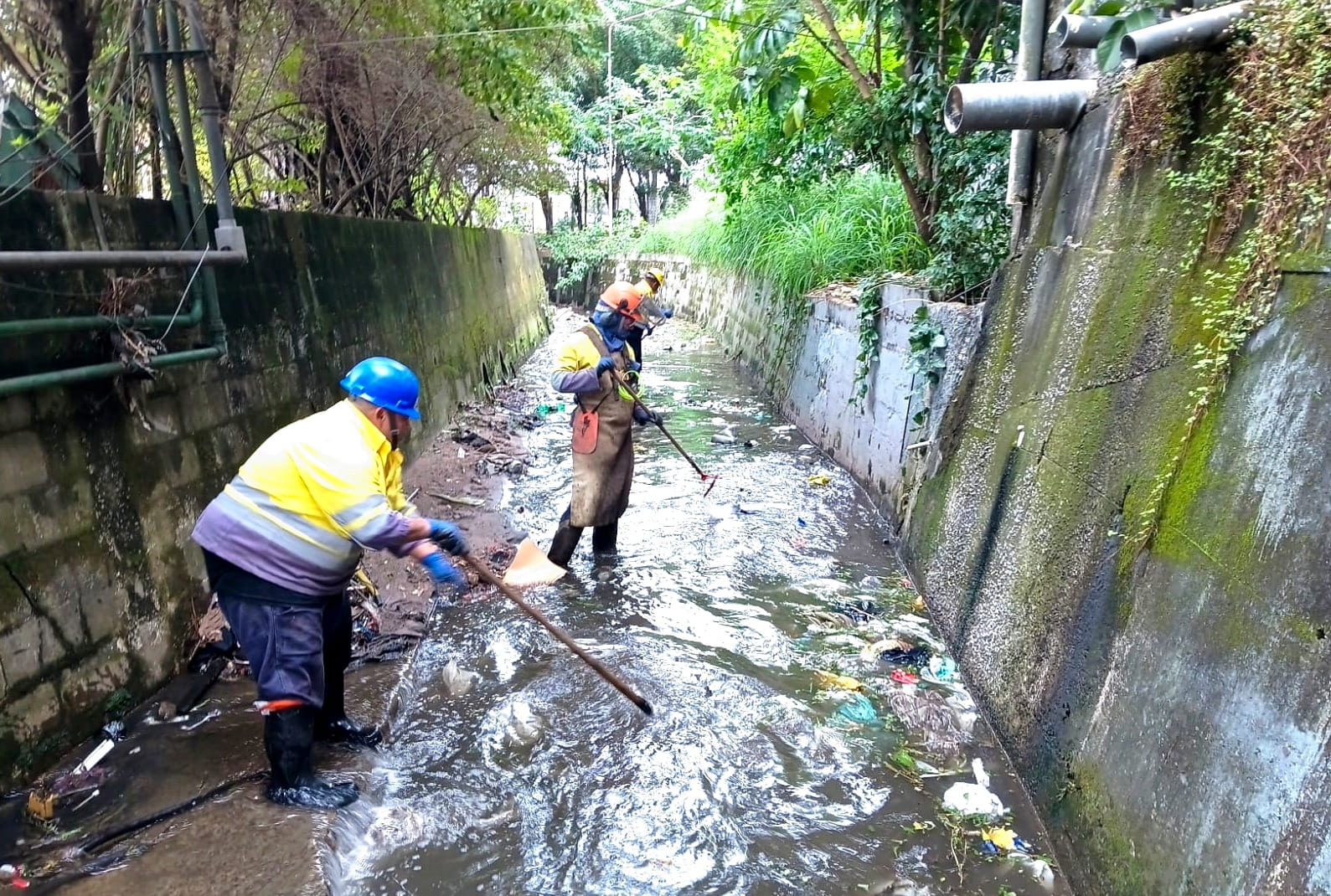 Prefeitura promove ações de zeladoria em diversos bairros da cidade