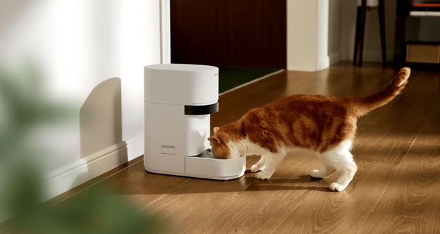 O novo alimentador com inteligência artificial da Petlibro muda tudo para lares com vários gatos