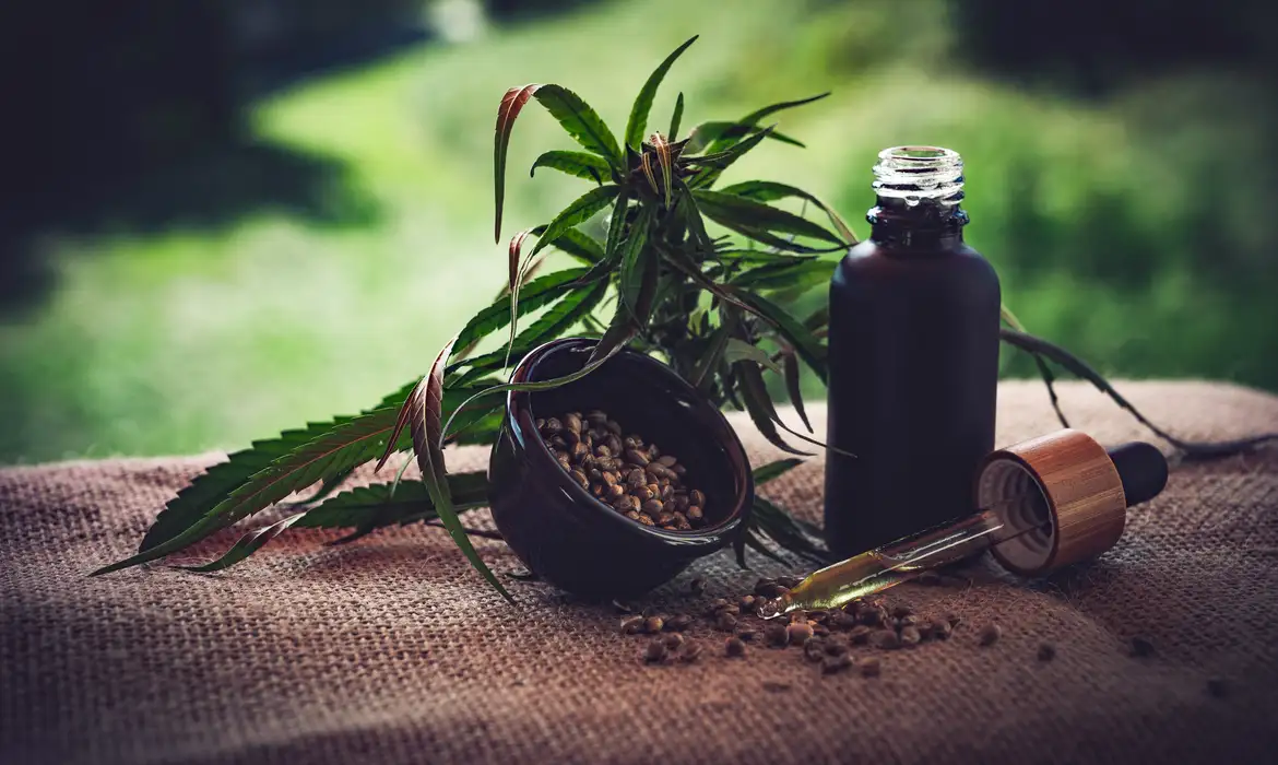 Para associações, normas ainda deixam pontos em aberto sobre cannabis