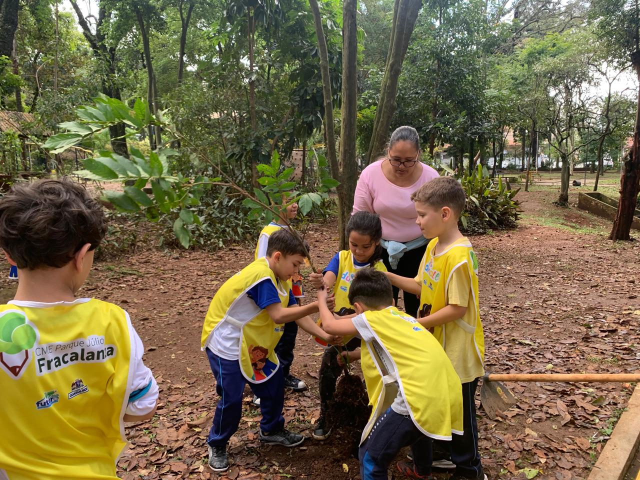 Guarulhos celebra Dia da Árvore com plantio de mais de 450 mudas de árvores nativas da Mata Atlântica