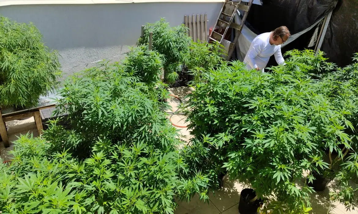 Feira em Fortaleza defende políticas sobre drogas com justiça social