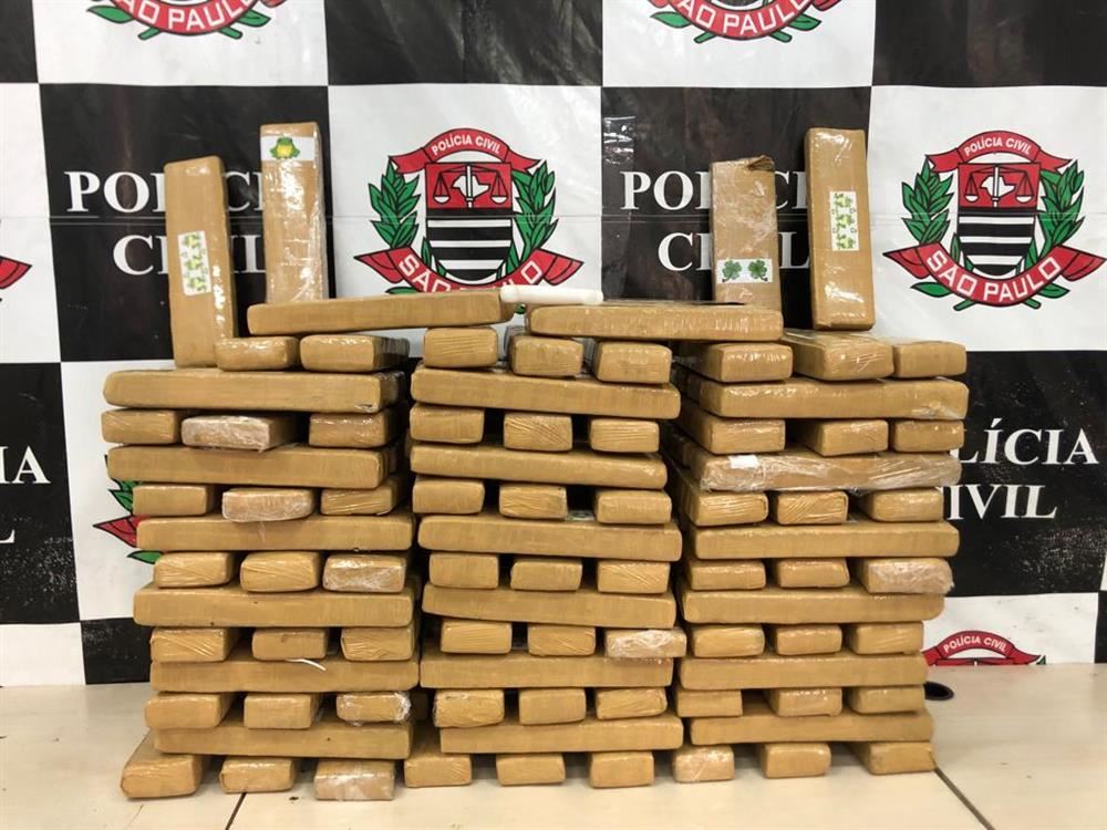 Polícia Civil detém homem e apreende quase 700 quilos de maconha em Guarulhos