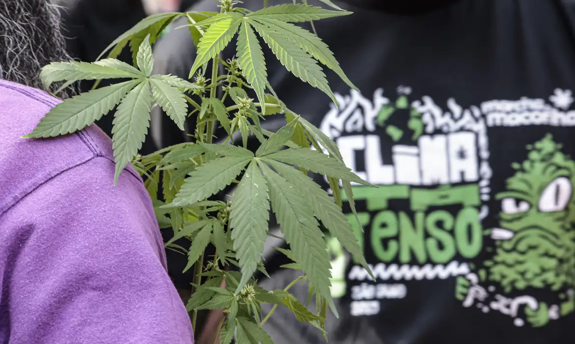 Flagrante por drogas gera mais prisão preventiva do que outros crimes