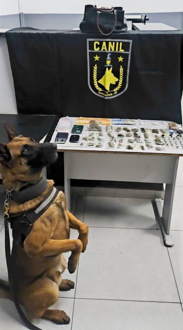 GCM prende dois homens com 900 gramas de maconha no Jardim Santa Inês