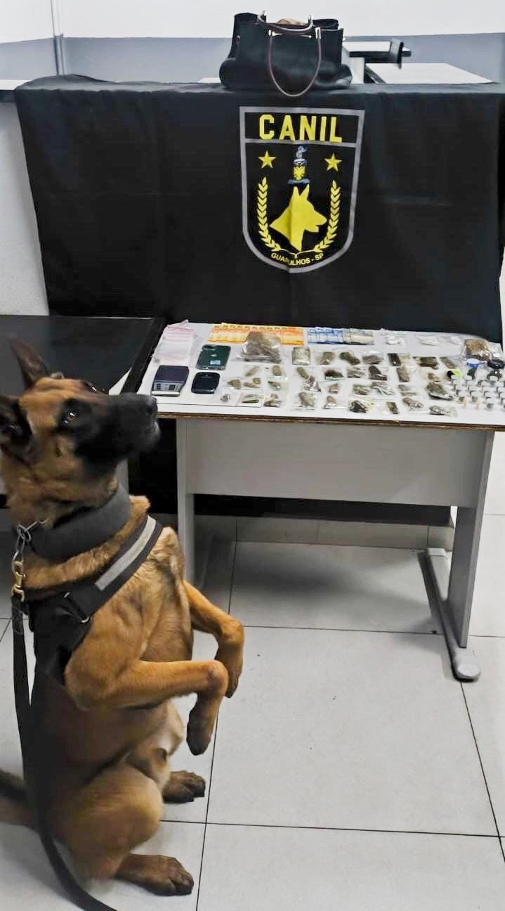 GCM prende dois homens com 900 gramas de maconha no Jardim Santa Inês