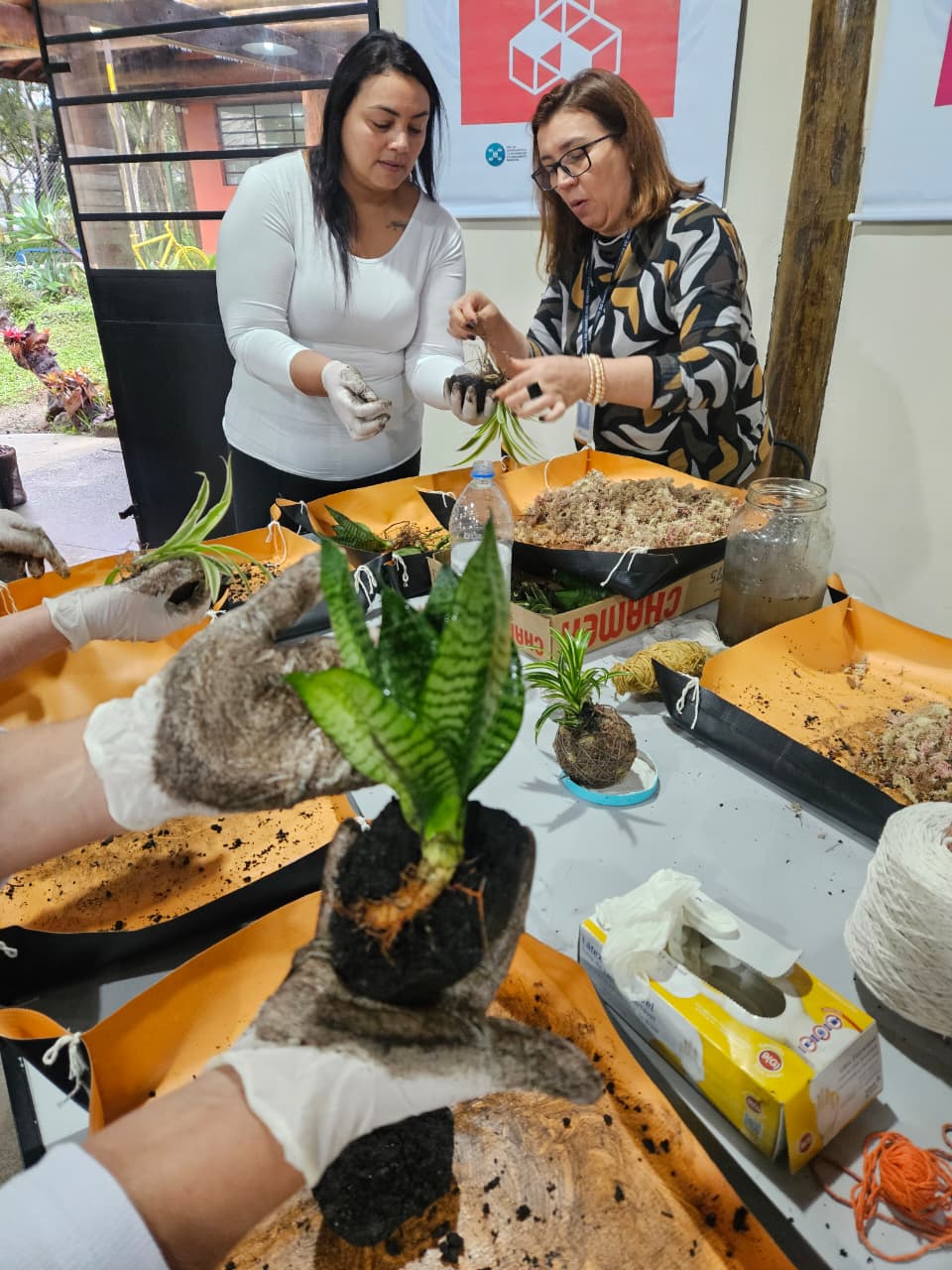 Agenda ambiental de outubro proporciona oficinas gratuitas em Guarulhos