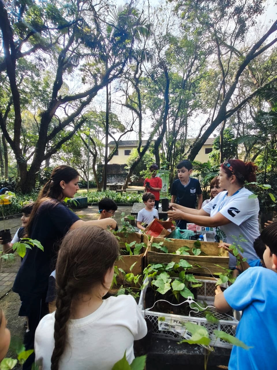 Secretaria do Verde recebe alunos de colégio para ação educativa sobre fauna e flora
