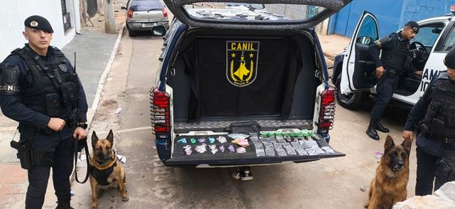 GCM prende três homens por tráfico e apreende 6,2 kg de drogas em diferentes regiões de Guarulhos