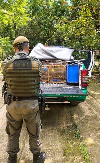 GCM resgata 19 aves silvestres em ações de proteção à fauna em Guarulhos