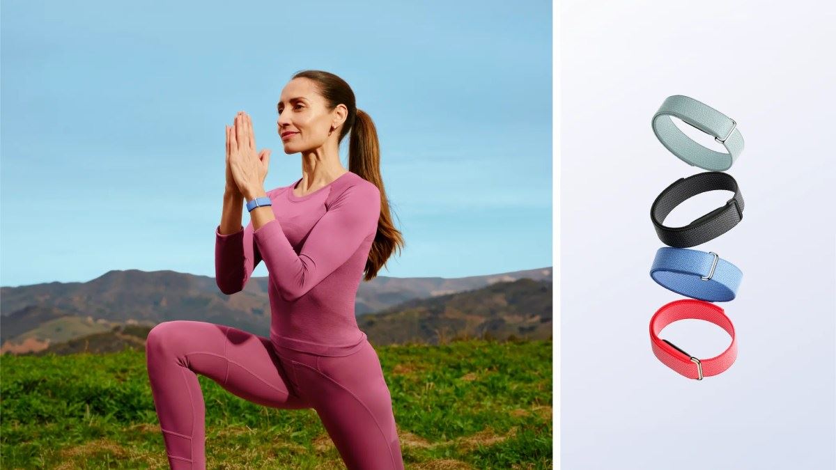 O Google lança o Fitbit Air na Índia, embora seu preço alto possa afastar as massas